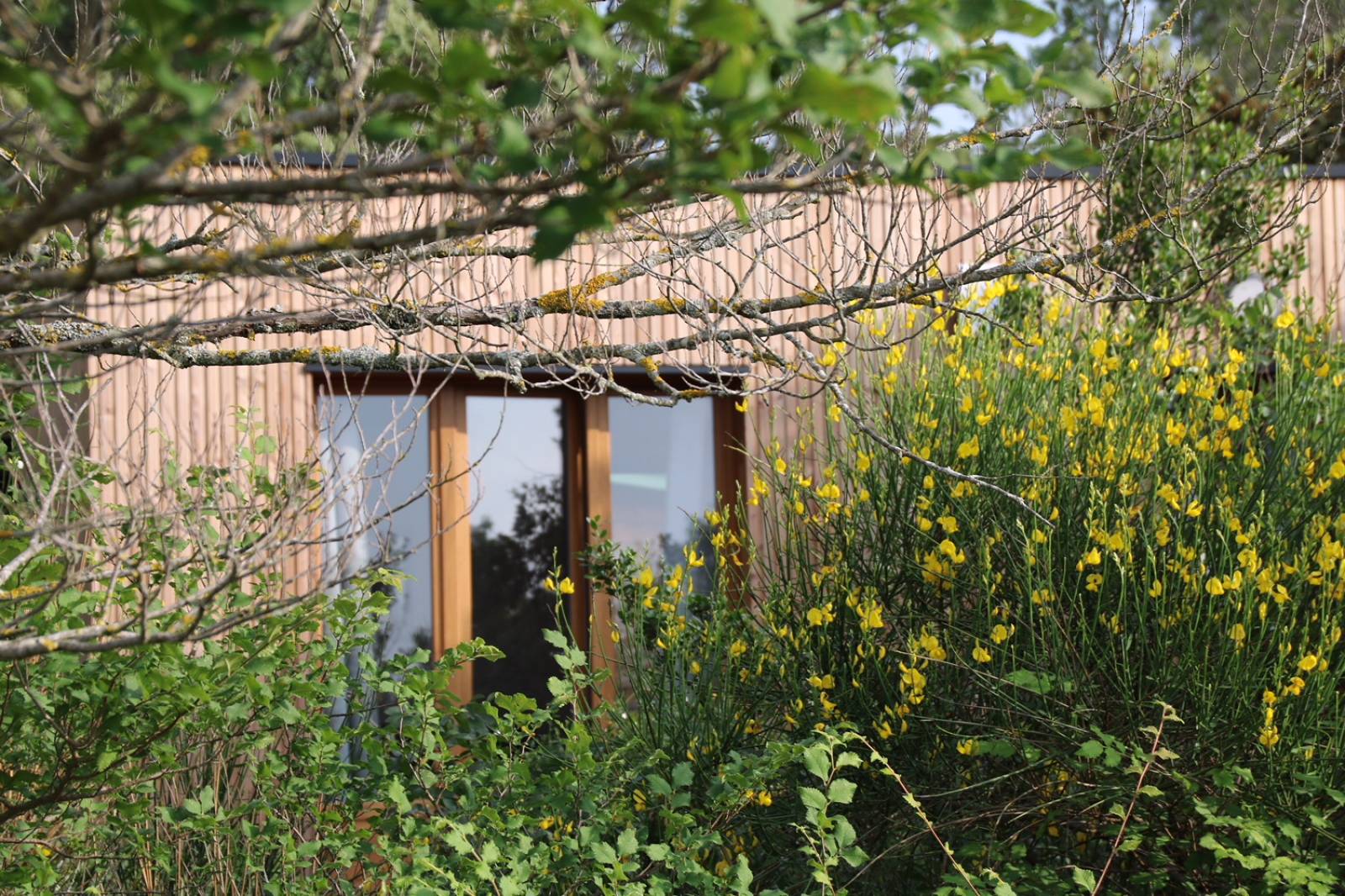 Construction d'un studio de jardin à Aix-en-Provence