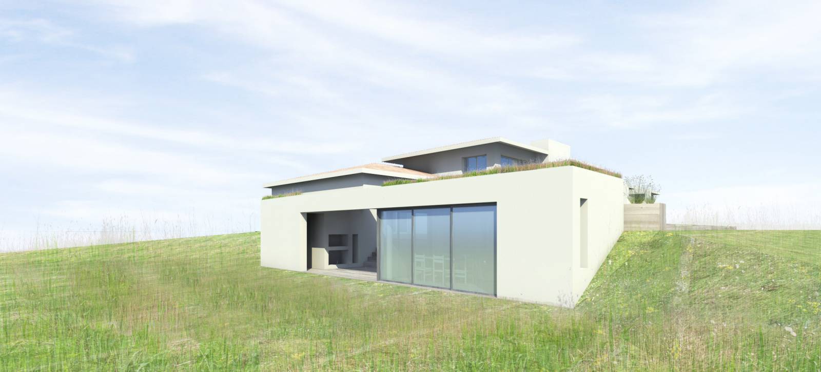 Construction d'un Pool house avec cuisine d'été et aménagement de terrasses