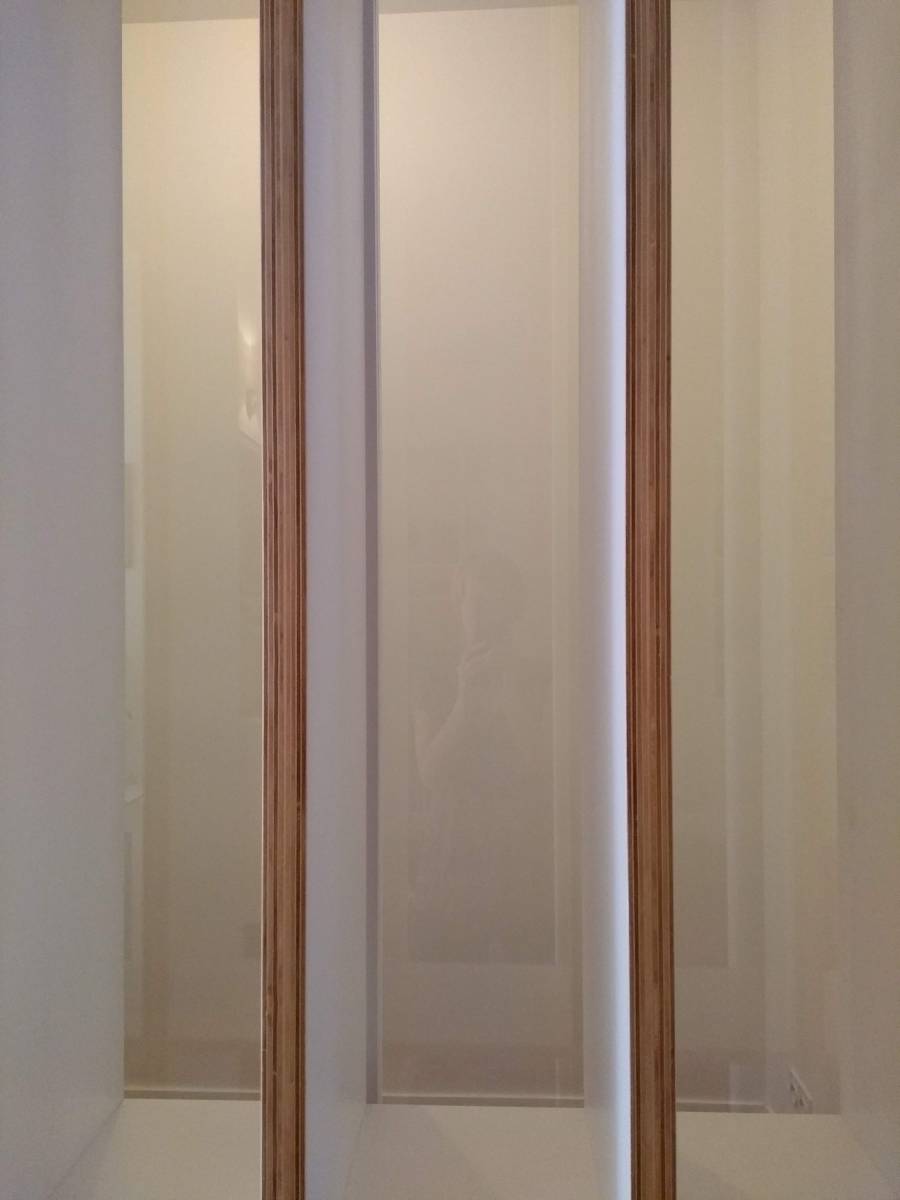 architecte rénovation appartement avec bois