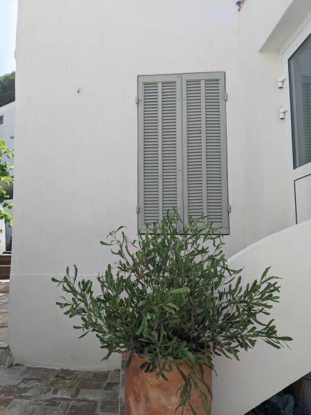 Aménagement d'un jardin et rénovation d'un cabanon à Marseille