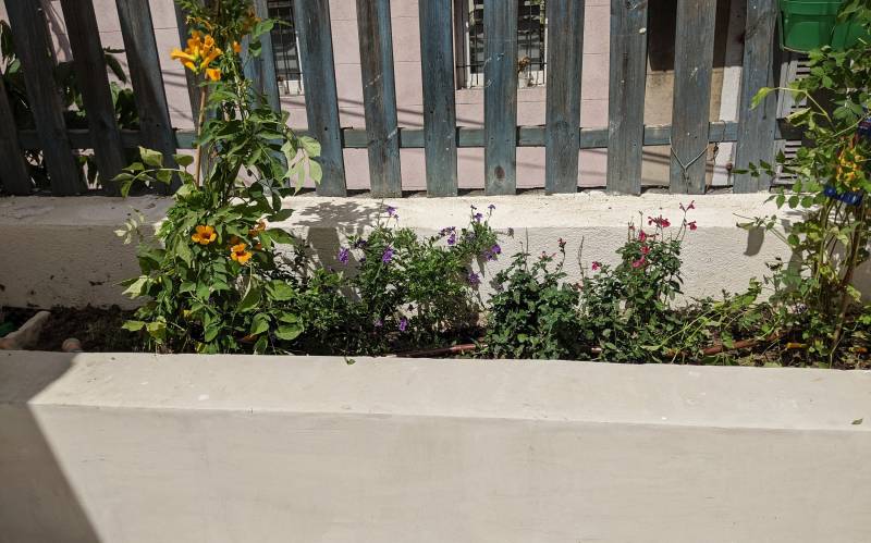 Aménagement d'un jardin et rénovation d'un cabanon à Marseille